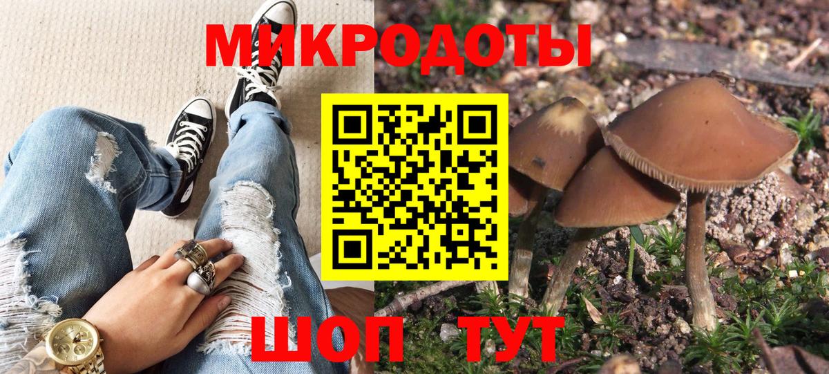 Псилоцибиновые грибы Cubensis Златоуст